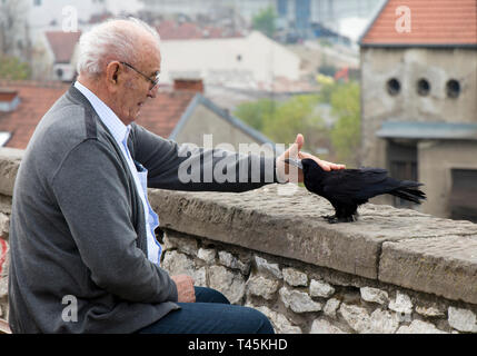 Belgrad, Serbien - April 9, 2019: Einsame ältere Menschen allein sitzen auf einem City Bank und streicheln Krähe oder Rabe Vogel zurück Stockfoto