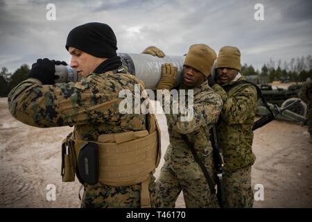 Marines mit Hotel, 3. Batterie Bataillon, 14 Marine Regiment, 4 Marine Division bewegen die Ausrüstungen für die Übung Dynamische Front 19 an Adazi Training Area, Lettland, Jan. 27, 2019. Rund 3.200 Teilnehmer aus 27 Nationen werden an der live-fire Teil der Übung Dynamische Front 19, March 2-9, 2019, in der US-Armee Grafenwöhr Training Area, in Deutschland sowie in Riga, Lettland; und Torun, Polen. Stockfoto