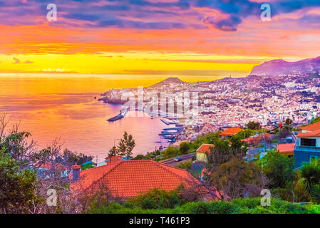 Panoramablick über Funchal - Madeira Island, Portugal Stockfoto