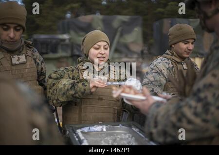 Cpl. April Flores, ein Durcheinander Chief mit Sitz Batterie, 14 Marine Regiment, 4 Marine Division, serviert eine warme Mahlzeit an einem Motor Pool in Adazi Training Area, Lettland, Feb.27, 2019, während der übung Dynamische Front 19. Übung Dynamische Front 19 umfasst ca. 3.200 Mitglieder aus 27 Nationen, die zu beobachten sind oder die Teilnahme von grafenwöhr Training Area, Deutschland; Riga, Lettland; und Torun, Polen; im März 2-9, 2019. Dynamische Vordere ist eine jährliche US-Army Europe Übung konzentriert sich auf die Bereitschaft und die Interoperabilität der US-Armee, gemeinsamen Dienst, und Verbündete und Partner Nationen Kunst Stockfoto