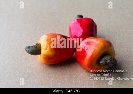 Cashewkerne Apfel auf dem Tisch Stockfoto