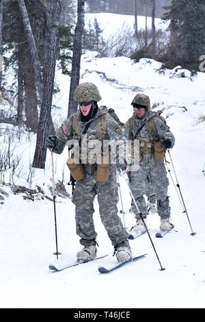 Bei kaltem Wetter Führer Kurs 19-004 Studenten ski entlang Hippie Trail nach dem Feuern Teil des 10 Kilometer langen Biathlon am Schwarzen Rapids Training Website März 12 der Nördlichen Warfare Training Center, 2019. Das kalte Wetter Führer Kurs schult Kader- und platoon-Führer in die Kenntnisse und Fähigkeiten, die zur erfolgreichen kleinen unit operations in einer kalten, verschneiten Umgebung durchführen. Schwerpunkt liegt dabei auf den Auswirkungen der Kälte auf Personal und Material, die Nutzung von grundlegenden kaltem Wetter Kleidung und Ausrüstung, winter Bereich Handwerk, Schneeschuh und Ski Techniken und Winter oder kalten Regionen navigati Stockfoto