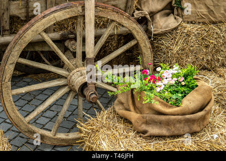 Rustikale vintage Bauernhof Feder Dekoration mit einem alten Wagen dray Warenkorb farm Wagen Stockfoto