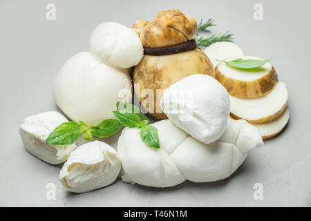 Mozzarella und Scamorza, traditionelle italienische Käse mit frischen Kräutern auf grauem Hintergrund. Stockfoto