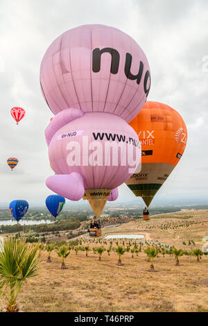 Canberra, Australien, März 14th, 2019, Heißluftballons über das Arboretum während des jährlichen Festivals fliegen. Stockfoto