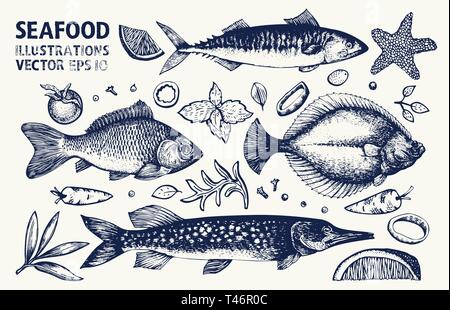 Fische und Gewürze Vektor einrichten. Jahrgang Hand gezeichnet Meeresfrüchte Illustrationen. Können Sie für Restaurants Menu, Abdeckung, Verpackung. Retro Hintergrund. Stock Vektor
