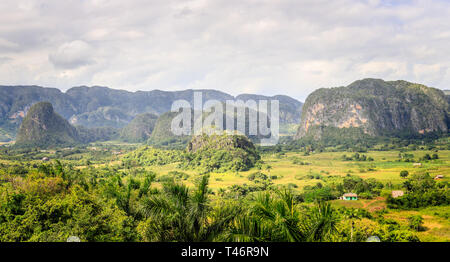 Grüne Karibik Tal mit kleinen kubanischen Häuser und mogotes hügel landschaft Panorama, Vinales Pinar del Rio, Kuba Stockfoto