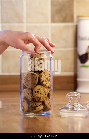 In der Küche eine Hand in die Keksdose ein Chocolate Chip Cookie. Stockfoto