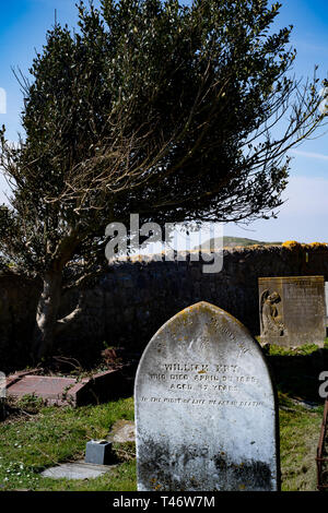 Kirchhof und Wind geformten Baum, alte Kirche des Hl. Nikolaus, bergauf, Weston-super-Mare, North Somerset, VEREINIGTES KÖNIGREICH Stockfoto