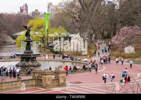 Bethesda Plaza, Engel der Wasser Brunnen in Springtine, NYC Stockfoto