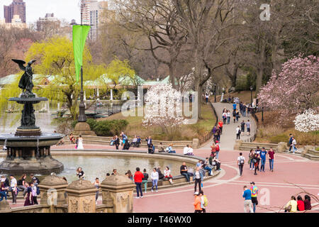 Bethesda Plaza, Engel der Wasser Brunnen in Springtine, NYC Stockfoto