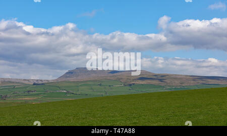 Der Berg der Whernside in den Yorkshire Dales National Park, Blick nach Norden an einem Frühlingstag im April, mit seinen steilen West Side. Kirby Lonsdale, Stockfoto