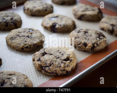 Glutenfreie Schokoladenkekse Stockfoto