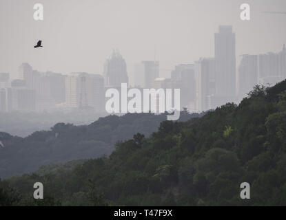 Skyline von Austin, Texas im Morgennebel Stockfoto