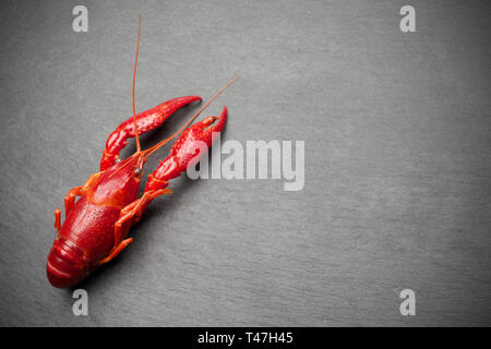 Rot gekochte Hummer auf schwarzem Schiefer Tabelle Stockfoto