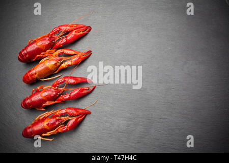 Hummer. Fisch und Meeresfrüchte. Auf einem schwarzen Schiefer Hintergrund. Ansicht von oben. Freier Platz für Ihren Text. Stockfoto