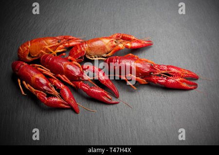 Hummer. Fisch und Meeresfrüchte. Auf einem schwarzen Schiefer Hintergrund. Stockfoto