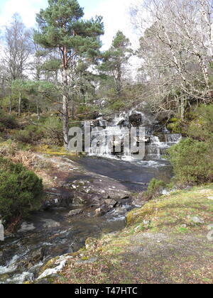 Schottland: Dundreggan Immobilien Stockfoto