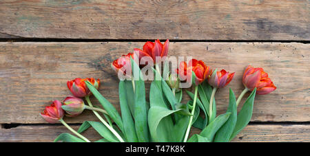 Blumen Komposition aus roten Tulpen auf einem alten Holz- Hintergrund. Kopieren Sie Raum, Ansicht von oben Stockfoto