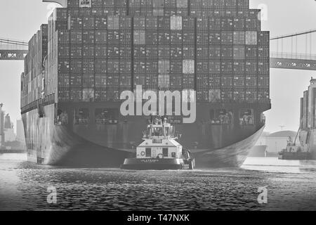 Schwarz-weiß-Foto vom Stern-Blick auf das Containerschiff, YM EINSTIMMIGKEIT, unter der Vincent Thomas Bridge im Hafen von Los Angeles, Kalifornien Stockfoto