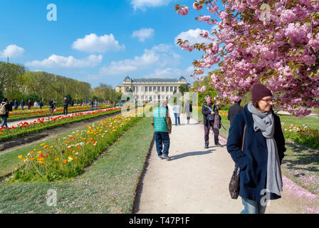 Große evolution Galerie, Touristen, die in der Grande Galerie de l'Evolution im Jardin des Plantes, Paris, Frankreich Stockfoto