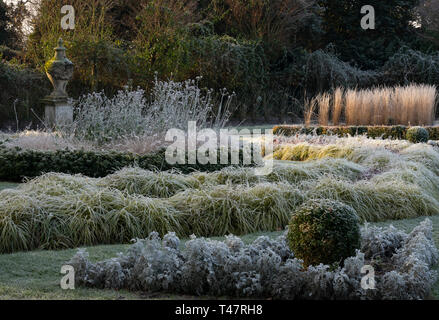 Frost überzogen Anlagen im Februar morgens im Italienischen Garten in Chiswick House, Chiswick, London, UK Stockfoto