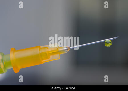 Hypodermischen Nadel mit einem Tropfen Droge auf seiner Spitze Stockfoto