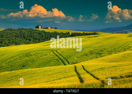 Einen spektakulären Sonnenuntergang, fantastische Vitaleta Kapelle (Cappella di Vitaleta) mit Korn Felder bei Sonnenuntergang in der Nähe von Pienza, Toskana, Italien, Europa Stockfoto