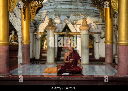 Yangon, Myanmar - 19. September 2016: buddhistischer Mönch lesen und beten an der Shwedagon Pagode Stockfoto