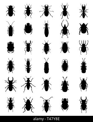 Schwarze Silhouetten der verschiedenen Bugs auf weißem Hintergrund Stockfoto