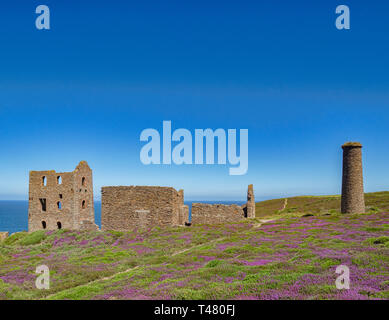 Alte Laune Crushing Mill, Teil der Wheal Coates Mine in der Nähe von St Agnes Kopf, Cornwall, England, Großbritannien, eine der Sehenswürdigkeiten des South West Coast Path. Stockfoto