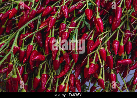 Kleine rote Peperoni auf Mercado do Livramento Markthalle in Passau in der Nähe von Lissabon, Portugal. Stockfoto