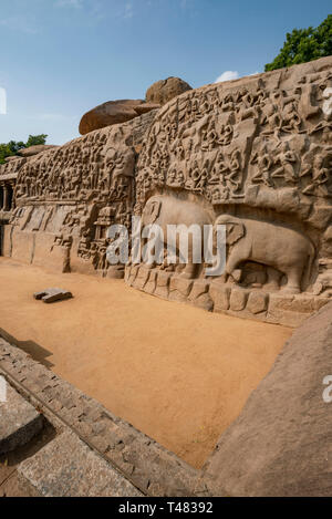 Vertikale Ansicht des spectacualr Arjunas Buße in Mahabalipuram, Indien. Stockfoto