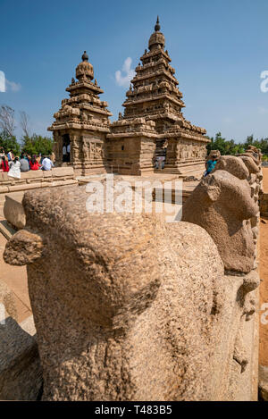 Vertikale Ansicht der Shore Tempel in Mahabalipuram, Indien. Stockfoto