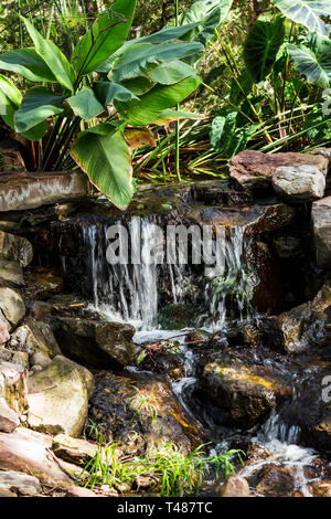 Garten Wasserfälle Stockfoto