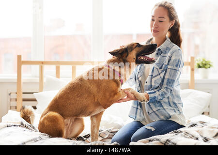 Pet, die Pfote zu junge Frau Stockfoto