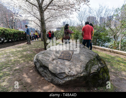 New York, NY - 13. April 2019: Denkmal für Solidarität engagierten Pest mit japanischen Menschen, während die New Yorker und Touristen gleichermaßen erfreuen sich Cherry Blossom Festival auf Roosevelt Island Stockfoto