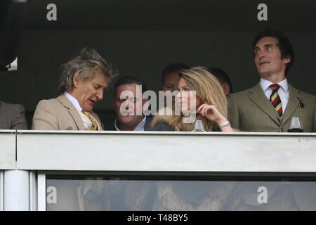 Cheltenham Festival 2019 - Tag 3 - St. Patrick's Donnerstag Wo: Cheltenham, Großbritannien Wann: 14 Mar 2019 Credit: David Sims/WENN.com Stockfoto