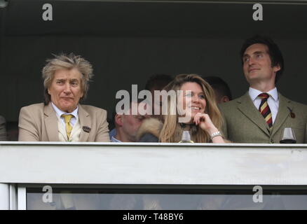 Cheltenham Festival 2019 - Tag 3 - St. Patrick's Donnerstag Wo: Cheltenham, Großbritannien Wann: 14 Mar 2019 Credit: David Sims/WENN.com Stockfoto