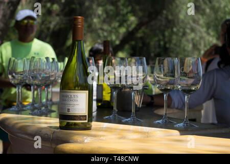 SANTIAGO, CHILE - Apr 06, 2019: Flasche Concha Y Toro Marke Weißwein, auf einem Tisch platziert neben einigen Gläsern in einer Weinprobe Stockfoto