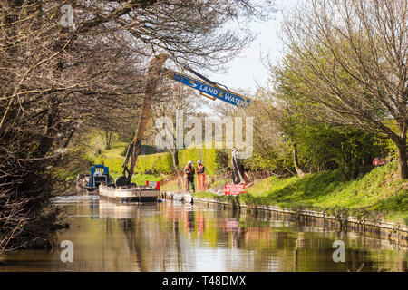 Wartung Reparatur und Ausbaggern der Macclesfield Canal bei Buglawton Cheshire England Großbritannien durchgeführt wird, Stockfoto