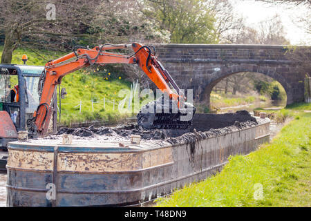 Wartung Reparatur und Ausbaggern der Macclesfield Canal bei Buglawton Cheshire England Großbritannien durchgeführt wird, Stockfoto