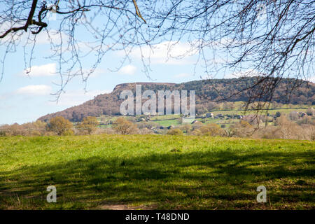 Anzeigen von Bosley Cloud/Cloud Ende von Feldern auf der Cheshire Plain in der Nähe von Knutsford Cheshire England Großbritannien Stockfoto