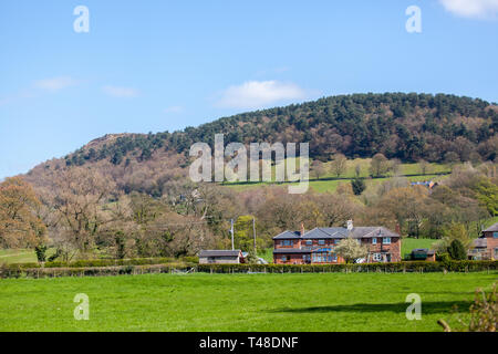 Anzeigen von Bosley Cloud/Cloud Ende von Feldern auf der Cheshire Plain in der Nähe von Knutsford Cheshire England Großbritannien Stockfoto