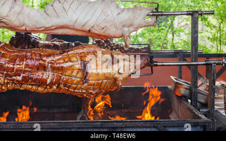 Ganze drei Schweine am Spieß auf dem Grill Stockfoto