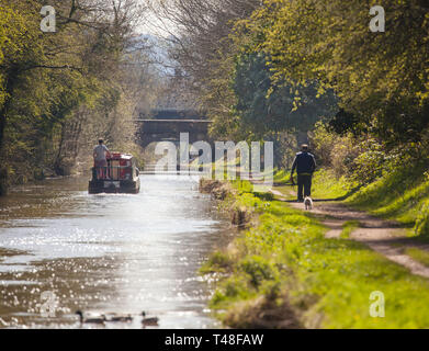 Schmale Boot auf dem Kanal Wasserstraße in Macclesfield Cheshire Buglawton congleton England Großbritannien mit Mann, Hund auf dem Leinpfad Stockfoto