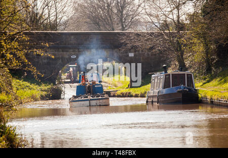 Wartung Reparatur und Ausbaggern der Macclesfield Canal bei Buglawton Cheshire England Großbritannien durchgeführt wird, Stockfoto