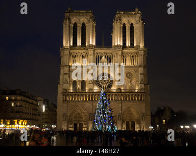 Weihnachtsbaum am Notre Dame im Jahr 2019 Stockfoto