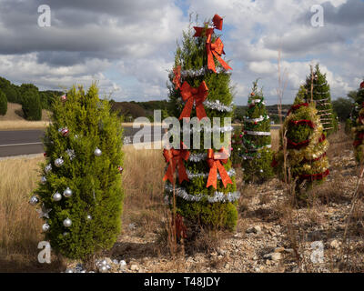 Wacholder für Weihnachten auf der 360 Autobahn in Austin, Texas eingerichtet Stockfoto