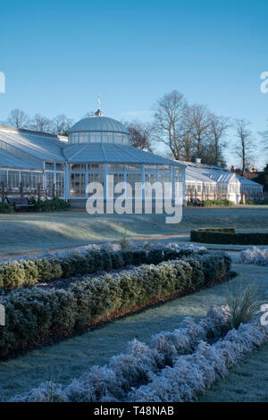 Der Wintergarten mit Frost bedeckt Pflanzen im Italienischen Garten in Chiswick House, Chiswick, London, UK umgeben Stockfoto